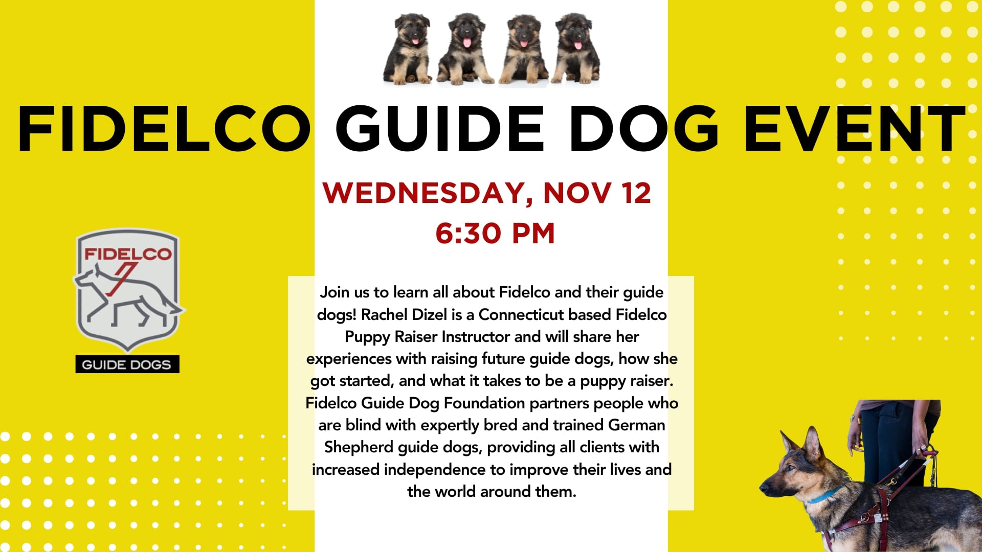 EBB   Fidelco Guide Dog  Presentation